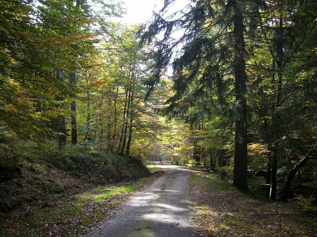 Chalet Du Montal Dun-les-Places 部屋 写真